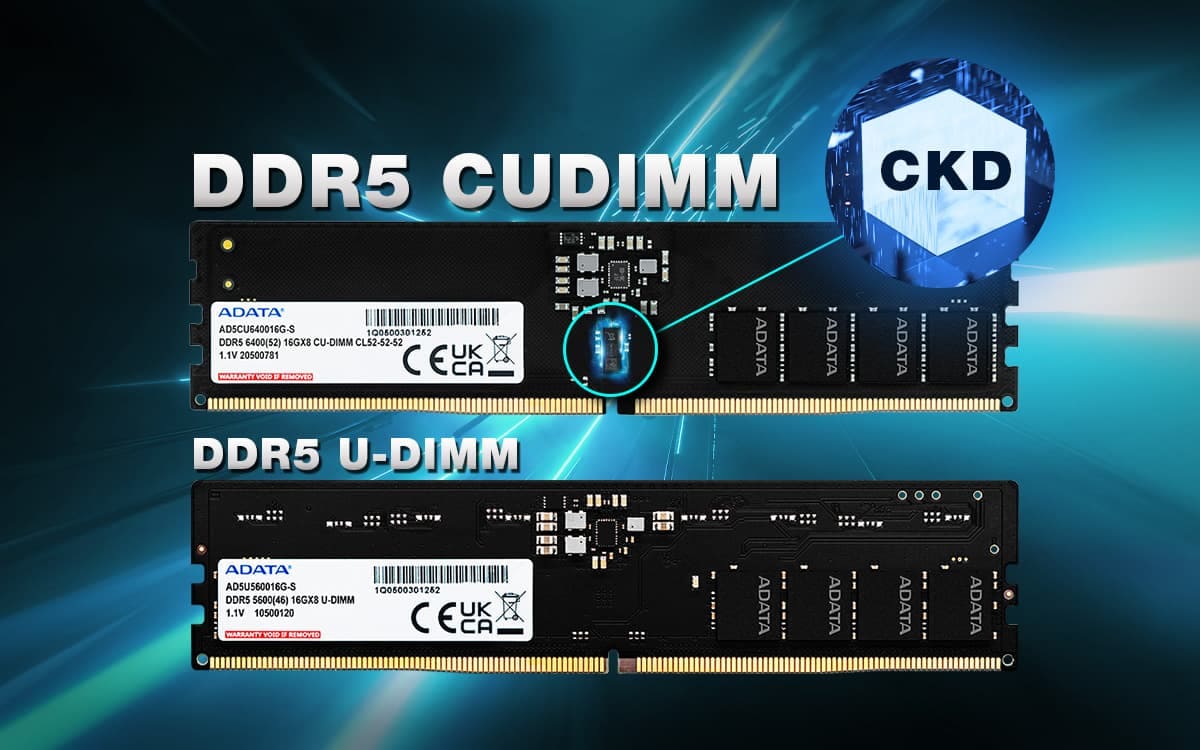 CUDIMM vs UDIMM
